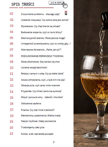 eBook "Jeden dzień na raz - czyli 21 dni bez alko" - obrazek 2